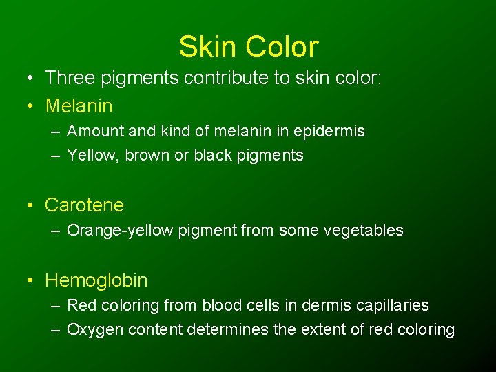 Skin Color • Three pigments contribute to skin color: • Melanin – Amount and