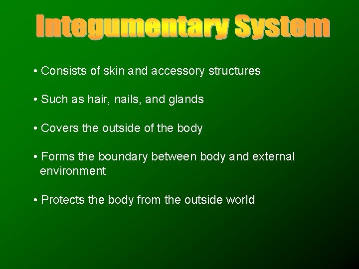  • Consists of skin and accessory structures • Such as hair, nails, and