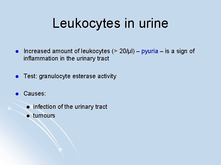 Leukocytes in urine l Increased amount of leukocytes (> 20/µl) – pyuria – is