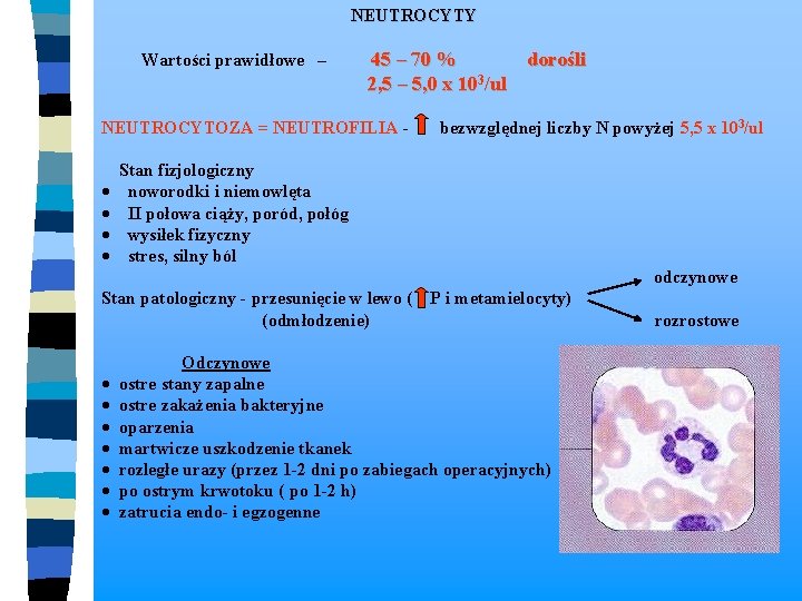  NEUTROCYTY Wartości prawidłowe – 45 – 70 % dorośli 2, 5 – 5,