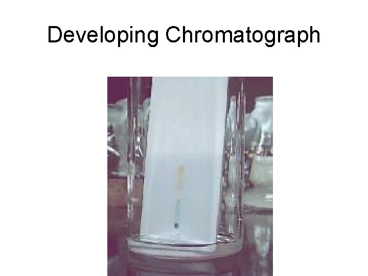 Developing Chromatograph 
