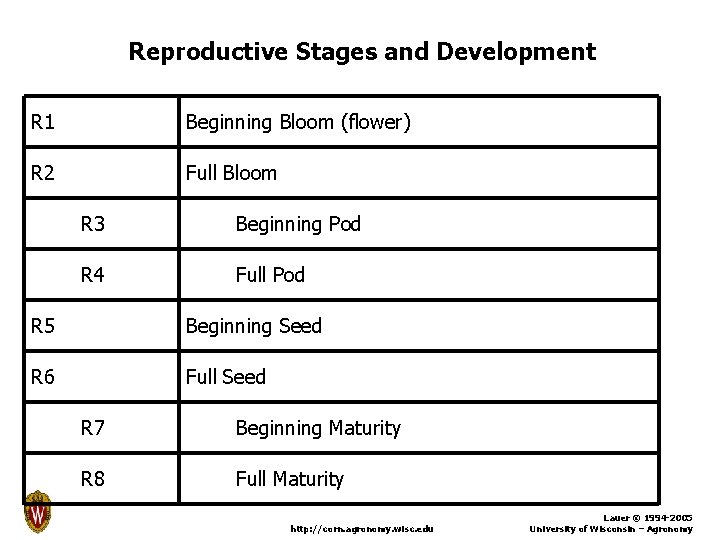 Reproductive Stages and Development R 1 Beginning Bloom (flower) R 2 Full Bloom R