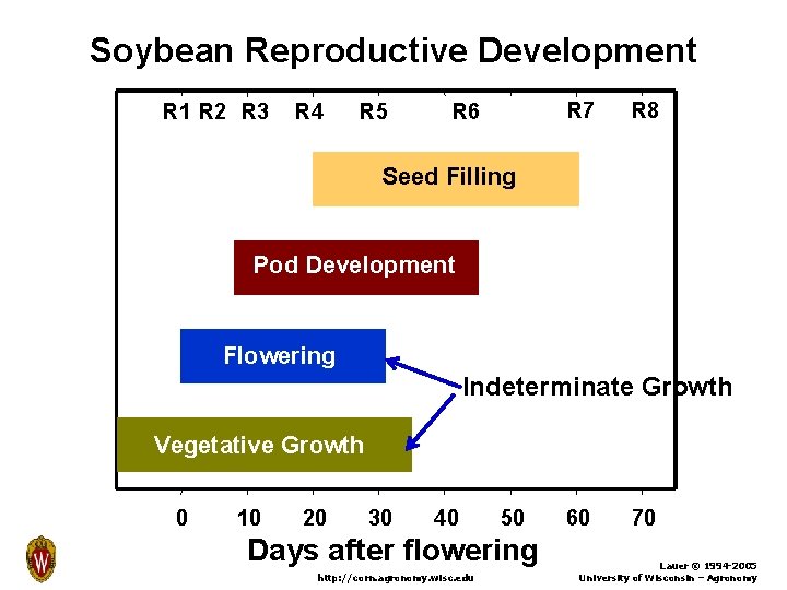 Soybean Reproductive Development R 1 R 2 R 3 R 4 R 5 R