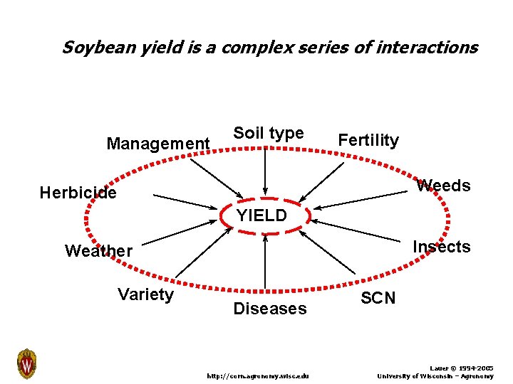 Soybean yield is a complex series of interactions Management Soil type Fertility Weeds Herbicide