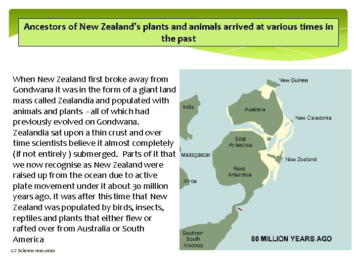 Ancestors of New Zealand’s plants and animals arrived at various times in the past