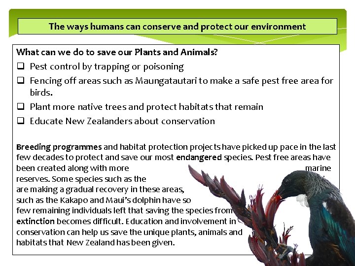 The ways humans can conserve and protect our environment What can we do to