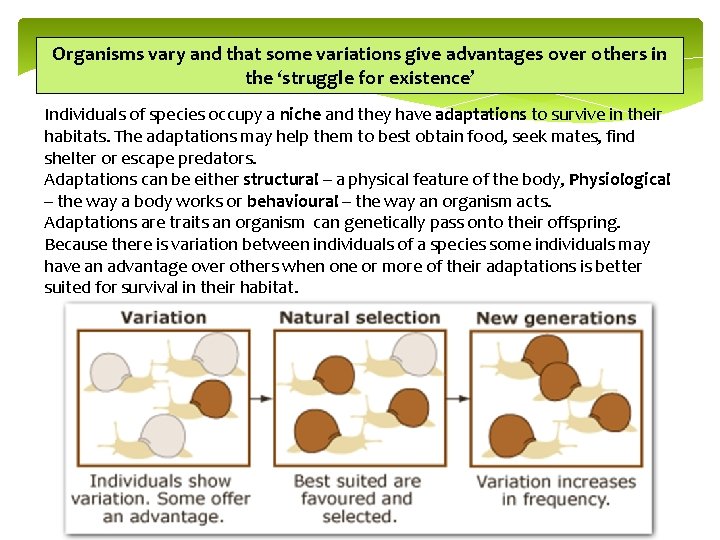 Organisms vary and that some variations give advantages over others in the ‘struggle for