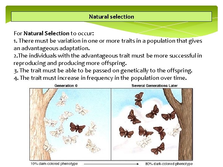 Natural selection For Natural Selection to occur: 1. There must be variation in one