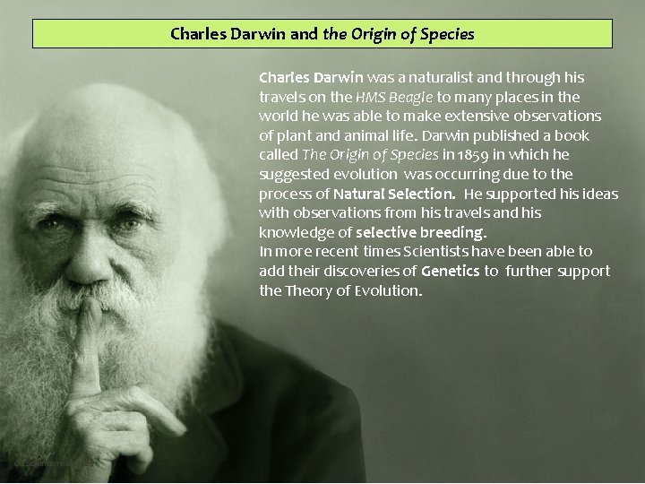 Charles Darwin and the Origin of Species Charles Darwin was a naturalist and through