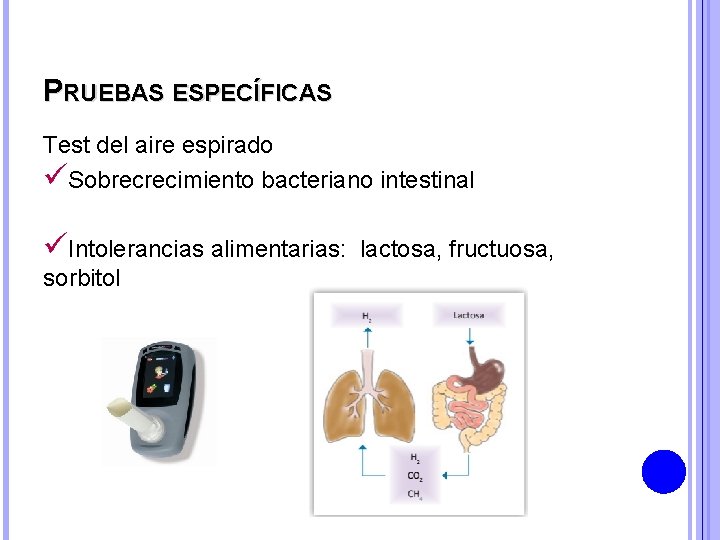 PRUEBAS ESPECÍFICAS Test del aire espirado üSobrecrecimiento bacteriano intestinal üIntolerancias alimentarias: lactosa, fructuosa, sorbitol