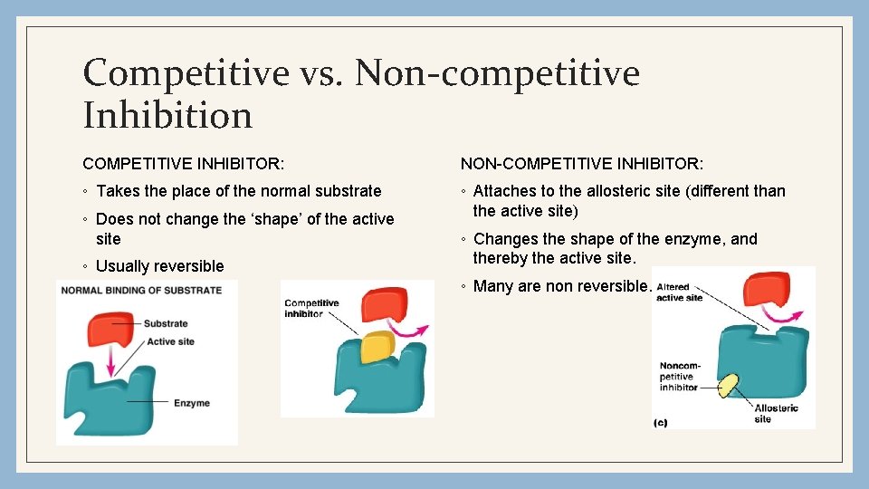 Competitive vs. Non-competitive Inhibition COMPETITIVE INHIBITOR: NON-COMPETITIVE INHIBITOR: ◦ Takes the place of the