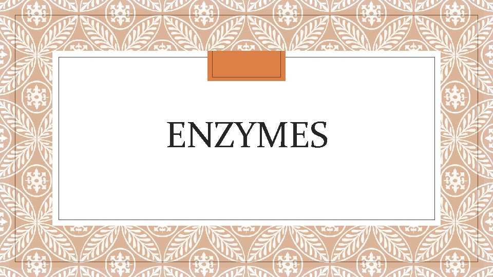 ENZYMES 