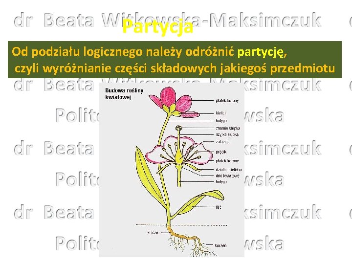 Partycja Od podziału logicznego należy odróżnić partycję, czyli wyróżnianie części składowych jakiegoś przedmiotu 