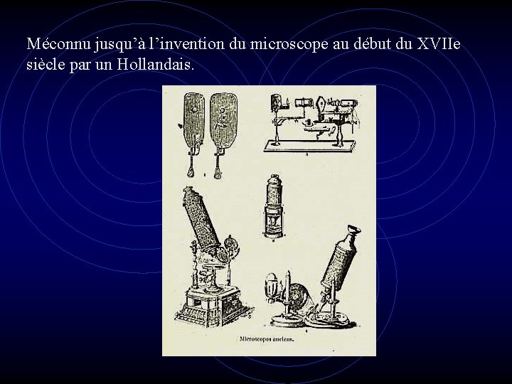 Méconnu jusqu’à l’invention du microscope au début du XVIIe siècle par un Hollandais. 