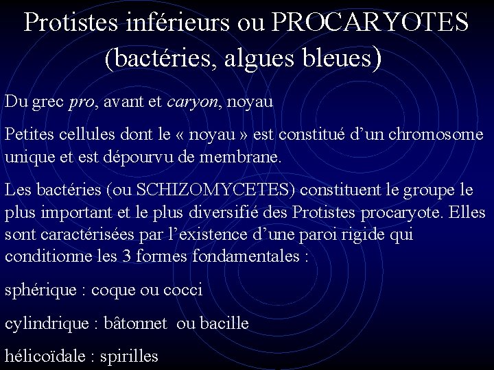 Protistes inférieurs ou PROCARYOTES (bactéries, algues bleues) Du grec pro, avant et caryon, noyau