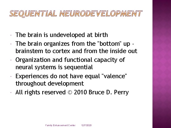  The brain is undeveloped at birth The brain organizes from the "bottom" up