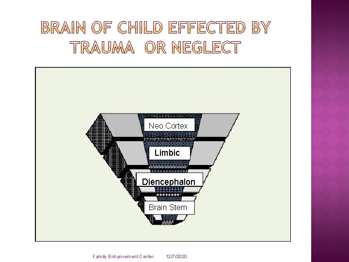 Neo Cortex Limbic Diencephalon Brain Stem Family Enhancement Center 12/7/2020 