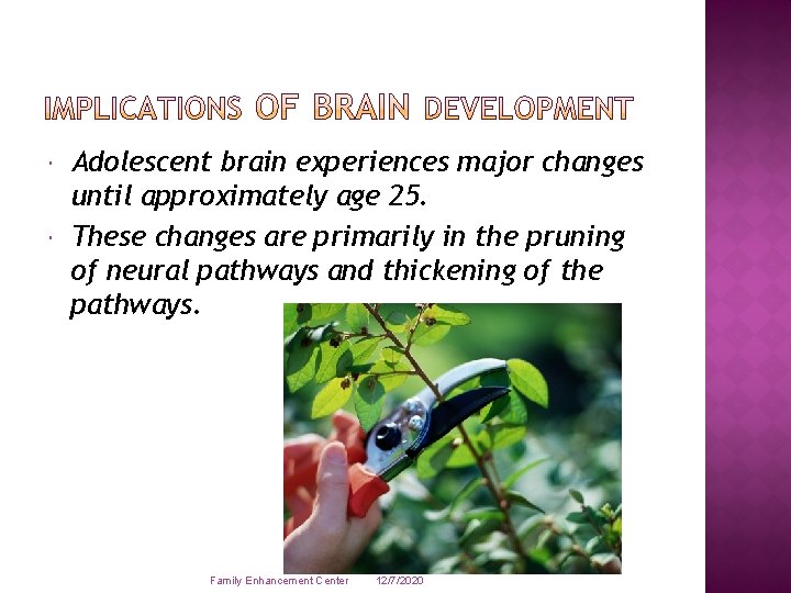 Adolescent brain experiences major changes until approximately age 25. These changes are primarily