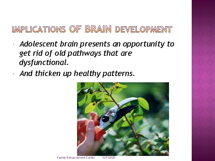  Adolescent brain presents an opportunity to get rid of old pathways that are