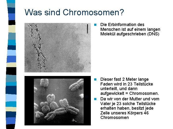 Was sind Chromosomen? n Die Erbinformation des Menschen ist auf einem langen Molekül aufgeschrieben