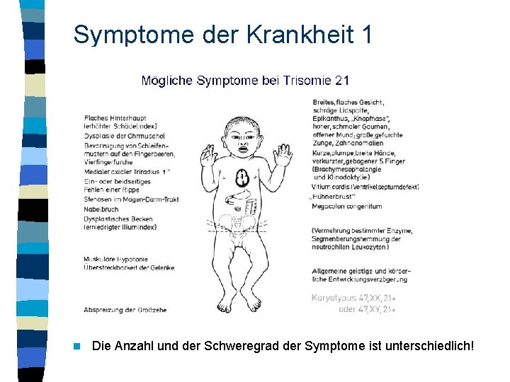 Symptome der Krankheit 1 n Die Anzahl und der Schweregrad der Symptome ist unterschiedlich!