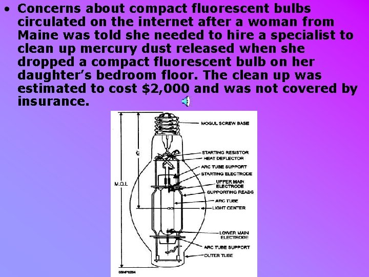  • Concerns about compact fluorescent bulbs circulated on the internet after a woman