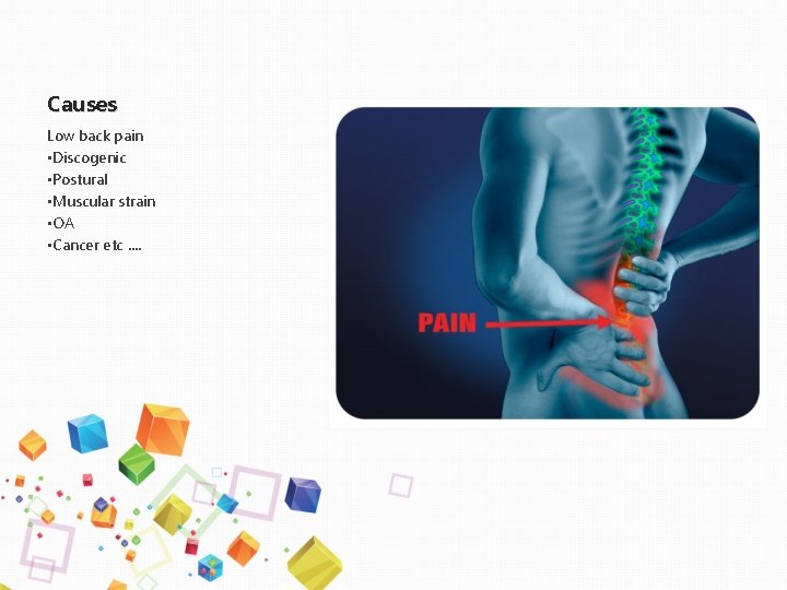 Causes Low back pain • Discogenic • Postural • Muscular strain • OA •