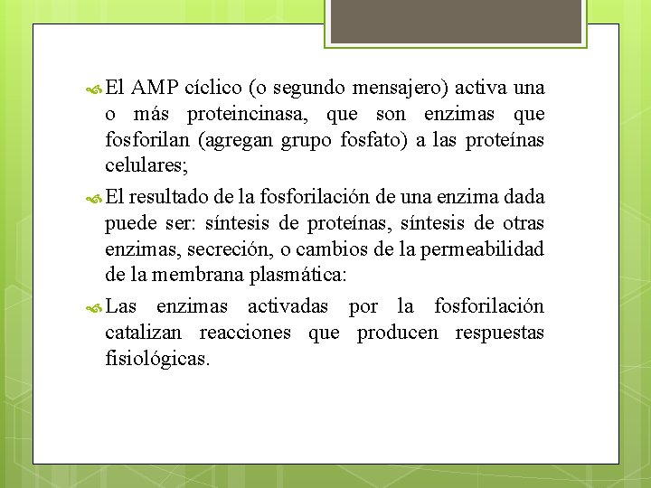  El AMP cíclico (o segundo mensajero) activa una o más proteincinasa, que son