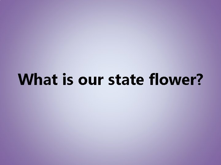 What is our state flower? 