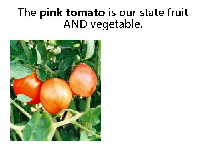 The pink tomato is our state fruit AND vegetable. 