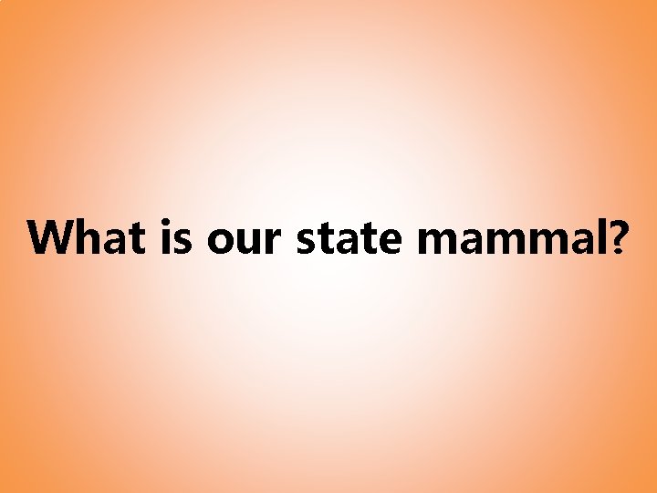 What is our state mammal? 