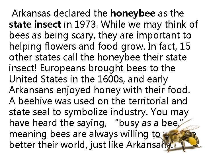  Arkansas declared the honeybee as the state insect in 1973. While we may