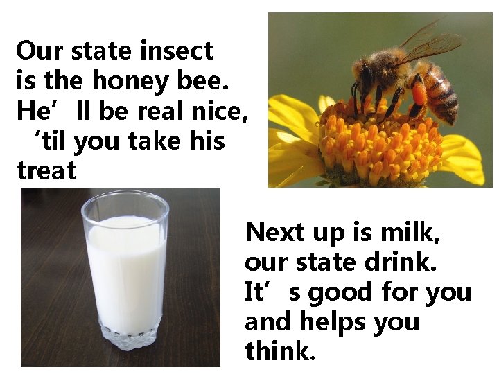 Our state insect is the honey bee. He’ll be real nice, ‘til you take