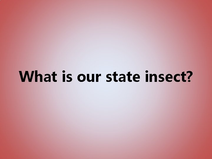 What is our state insect? 