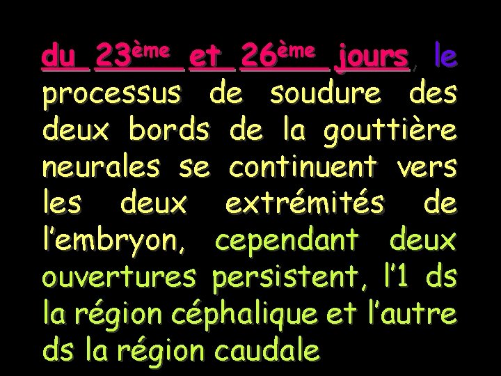 du 23ème et 26ème jours, le processus de soudure des deux bords de la