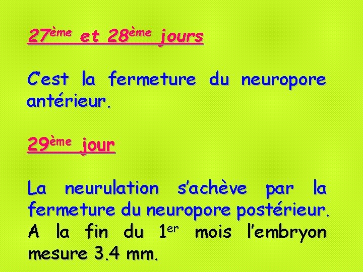 27ème et 28ème jours C’est la fermeture du neuropore antérieur. 29ème jour La neurulation