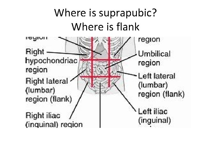 Where is suprapubic? Where is flank 