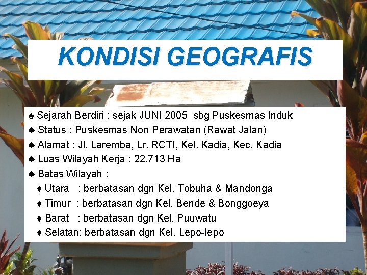 KONDISI GEOGRAFIS ♣ Sejarah Berdiri : sejak JUNI 2005 sbg Puskesmas Induk ♣ Status