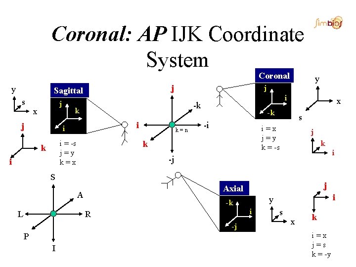 Coronal: AP IJK Coordinate System Coronal y j Sagittal s j x j k