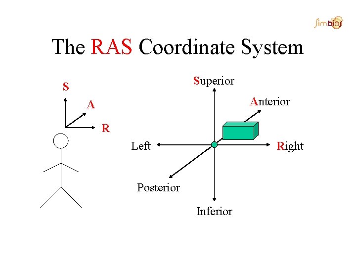 The RAS Coordinate System Superior S Anterior A R Left Right Posterior Inferior 