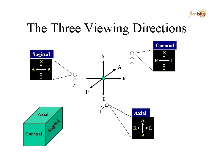 The Three Viewing Directions Coronal Sagittal S S A S R A P I
