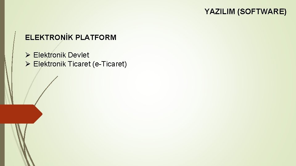 YAZILIM (SOFTWARE) ELEKTRONİK PLATFORM Ø Elektronik Devlet Ø Elektronik Ticaret (e-Ticaret) 