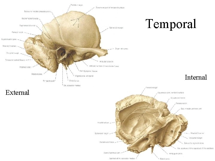 Temporal Internal External 