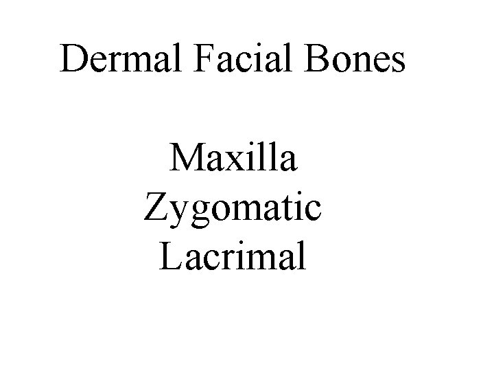Dermal Facial Bones Maxilla Zygomatic Lacrimal 