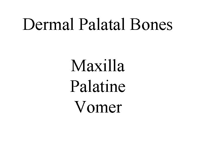 Dermal Palatal Bones Maxilla Palatine Vomer 