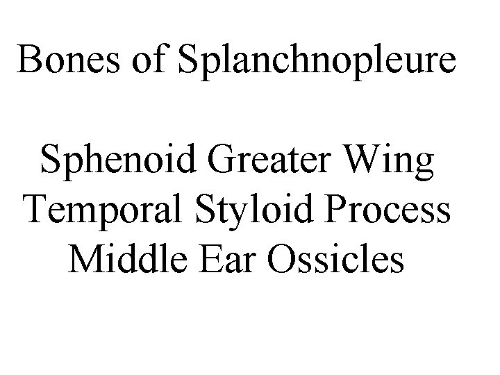 Bones of Splanchnopleure Sphenoid Greater Wing Temporal Styloid Process Middle Ear Ossicles 