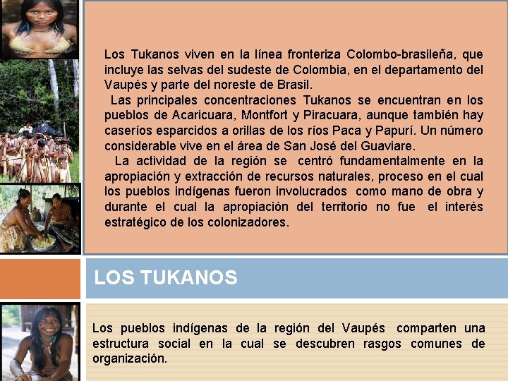 Los Tukanos viven en la línea fronteriza Colombo-brasileña, que incluye las selvas del sudeste Los Tukanos viven en la línea fronteriza Colombo-brasileña, que incluye las selvas del sudeste