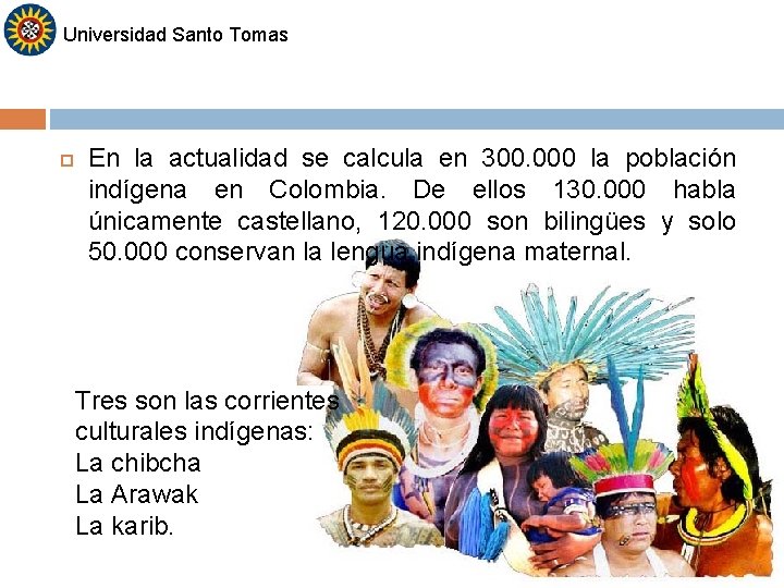 Universidad Santo Tomas En la actualidad se calcula en 300. 000 la población indígena Universidad Santo Tomas En la actualidad se calcula en 300. 000 la población indígena