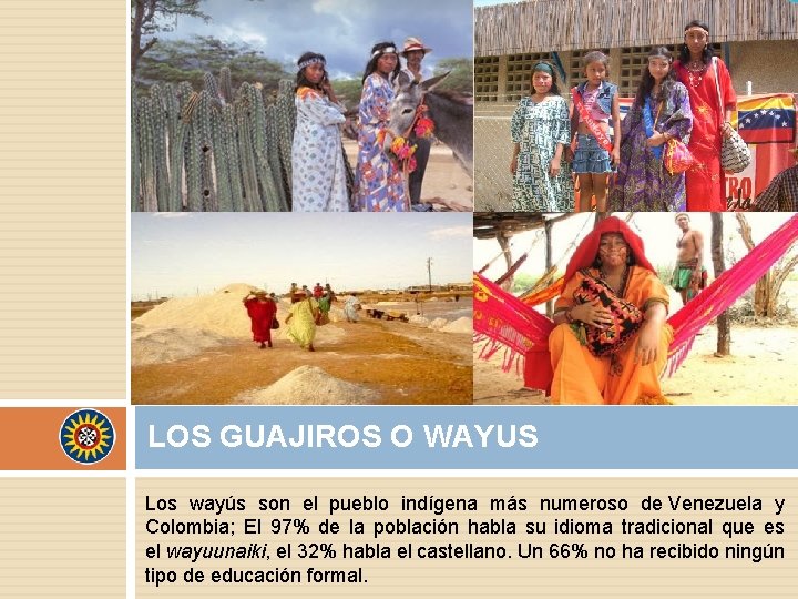 LOS GUAJIROS O WAYUS Los wayús son el pueblo indígena más numeroso de Venezuela LOS GUAJIROS O WAYUS Los wayús son el pueblo indígena más numeroso de Venezuela