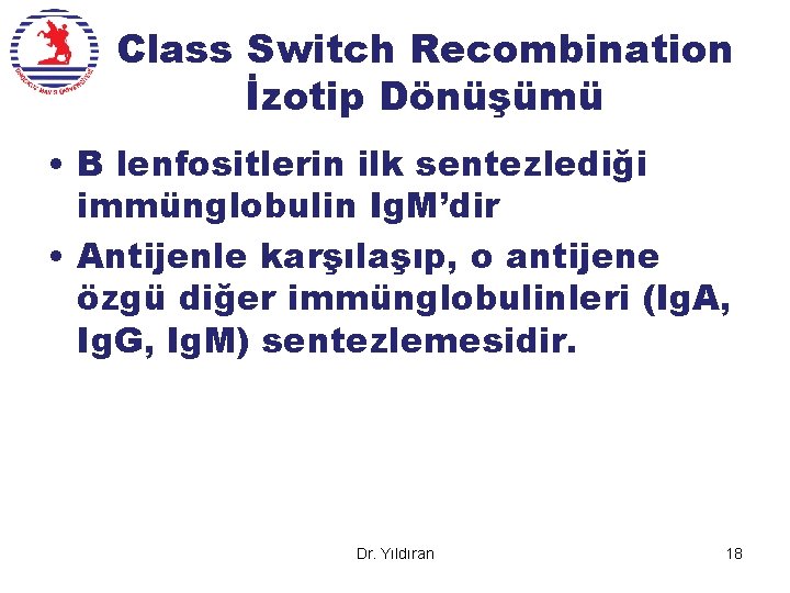 Class Switch Recombination İzotip Dönüşümü • B lenfositlerin ilk sentezlediği immünglobulin Ig. M’dir •